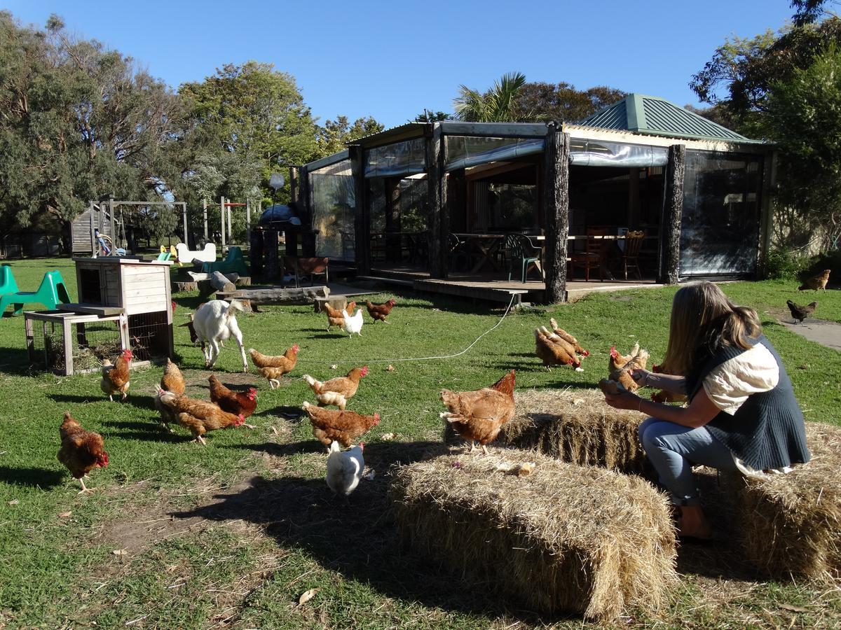 Ripples N Tonic Farmstay Ventnor Екстер'єр фото