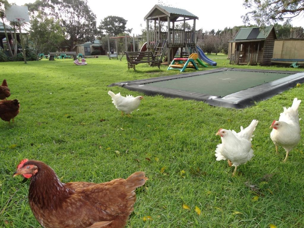 Ripples N Tonic Farmstay Ventnor Екстер'єр фото